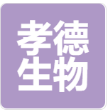 企业相册