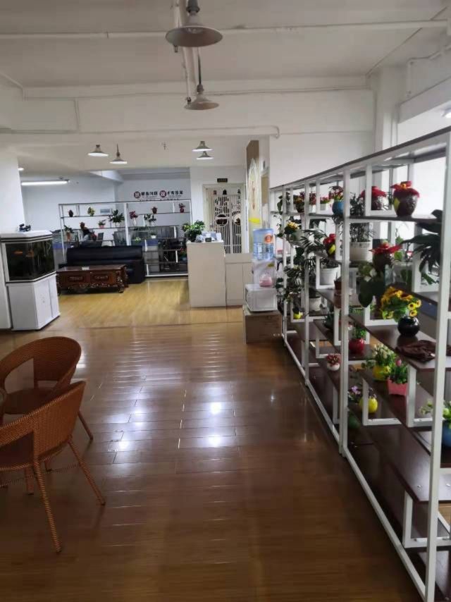 企业相册